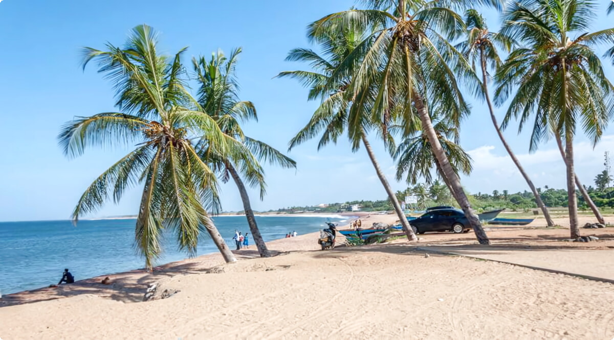 Wat zijn de populairste voertuigkeuzes in Hambantota?